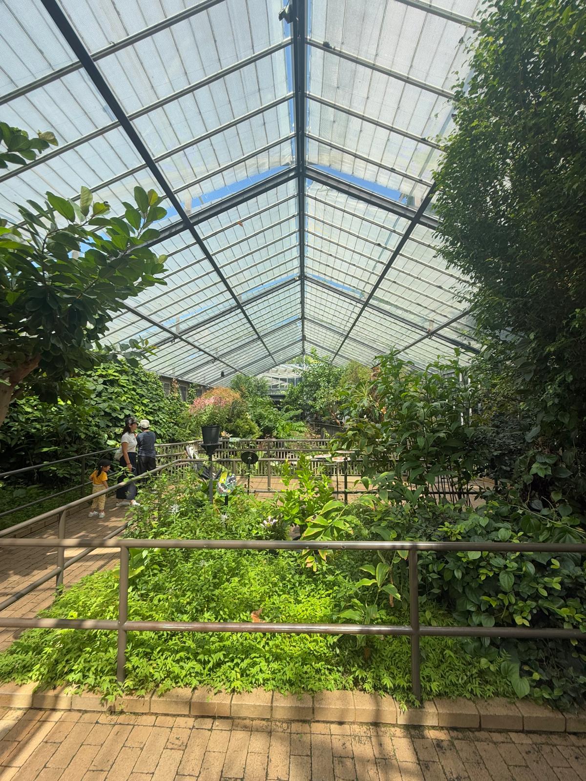 Melbourne Zoo Butterfly House